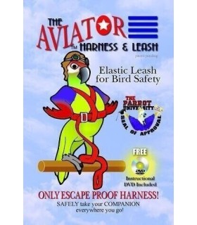 HARNAIS + LONGE / PETITS CACATOÈS - S / NOIR