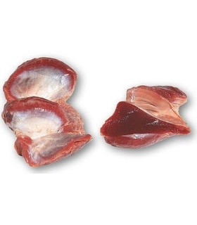 GESIER DE DINDE SACHET 1KG - BARF