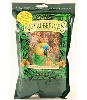 LAFEBER - Perroquet fruit tropical