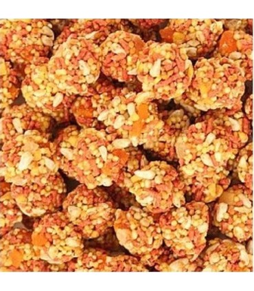 LAFEBER PERROQUET FRUIT TROPICAL - 300GRS