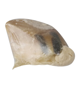 PP SABOT DE VEAU FARCI - 60GRS