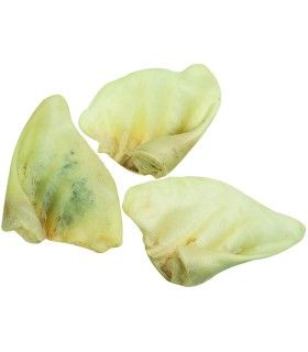 OREILLE DE PORC NATURE - PIÈCE