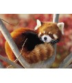 KF- RED PANDA - POUDRE - 8KG