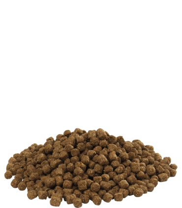 VOILE CALICO / MOUCHETE