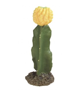 Cactus  fleur jaune 19 CM  modèle [CAC2109]