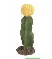 Cactus  fleur jaune 19 CM  modèle [CAC2109]