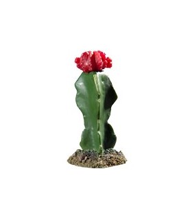 Cactus  fleur rouge 19 CM  modèle [CAC2108]
