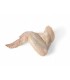 CONGELE - Ailes de poulet (Paquet de 2 Kg)