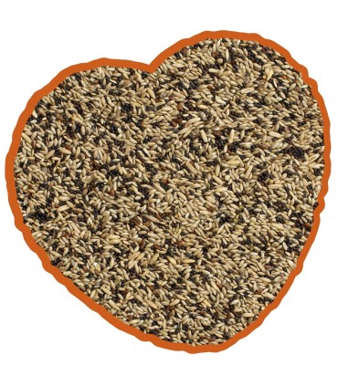 CANARI MIX - 20KG - DUVO+