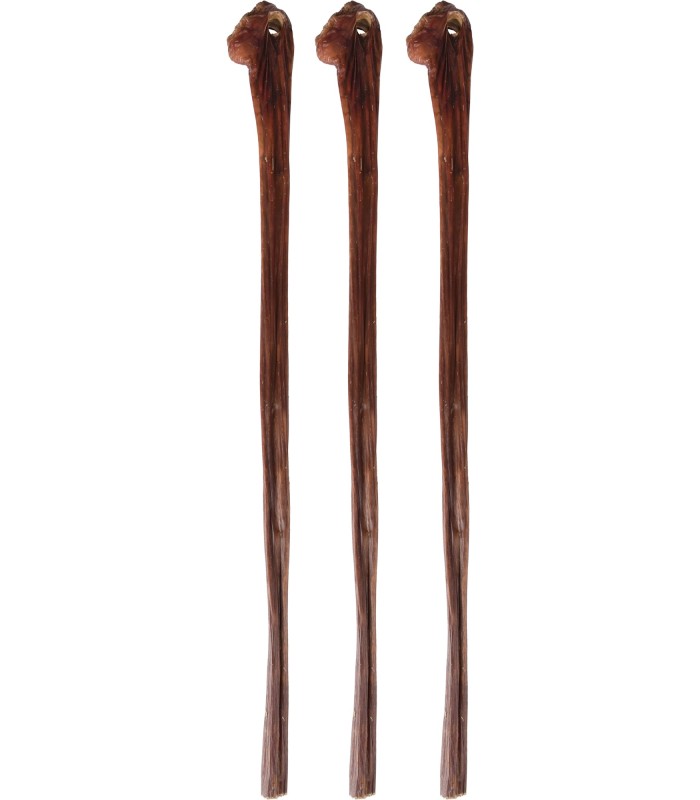 NATURE SNACK - BOEUF OESOPHAGE ROND SÉCHÉ - 50CM - 3PCS