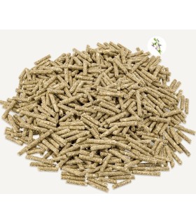 MZ- GRANULÉS IGUANES VERTS - 25KG