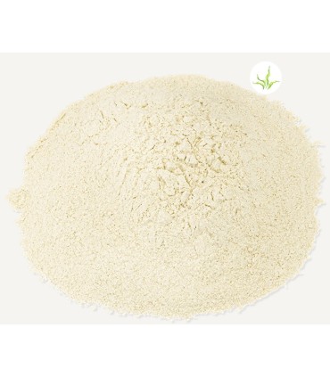 MZ- NECTAR - RENARD VOLANT - SEAU 4KG