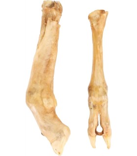 NATURE SNACK - PIED D&#039; AGNEAU - 2 PIÈCES