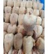 CONGELE - CAILLE ENTIERE SANS PLUME/SANS VISCÈRES (BOITE 6 KG)
