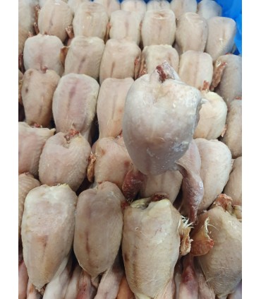 CONGELE - CAILLE ENTIERE SANS PLUME/SANS VISCÈRES (BOITE 6 KG)