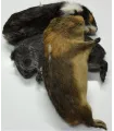 CONGELE - CAVIA  DE +/- 100 À 200GRS (PIÈCE)