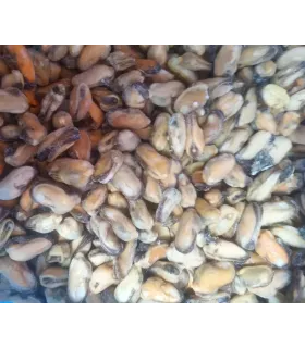 CONGELE - MOULE DÉCOQUILLÉES CUITES - (SACHET DE 1KG)