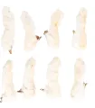 NATURE SNACK - PATTES DE LAPINS À POILS - 200GRS