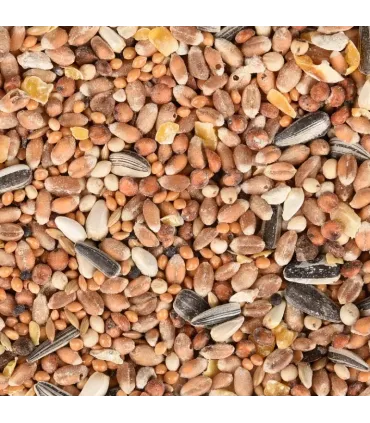 GRAINES MÉLANGE OISEAUX DU CIEL 2.5KG