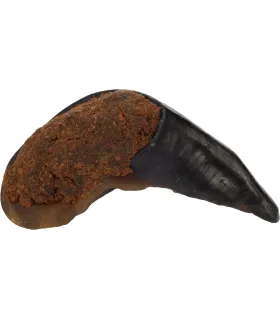 NATURE SNACK - SABOT DE BUFFLE AVEC POUMON - 135GRS