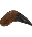 NATURE SNACK - SABOT DE BUFFLE AVEC POUMON - 135GRS