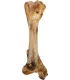 NATURE SNACK - TIBIA CHARNU - JUMBO- 800GRS