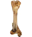 NATURE SNACK - TIBIA CHARNU - JUMBO- 800GRS