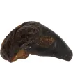 NATURE SNACK - SABOT DE BUFFLE AVEC PANSE - 126GRS