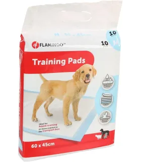 TAPIS ÉDUCATEUR - 60 X 45CM (10 PIECES)