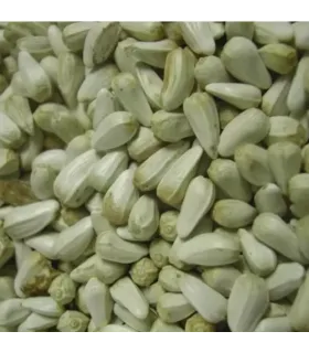 graines de cardi - cardy - 20kg