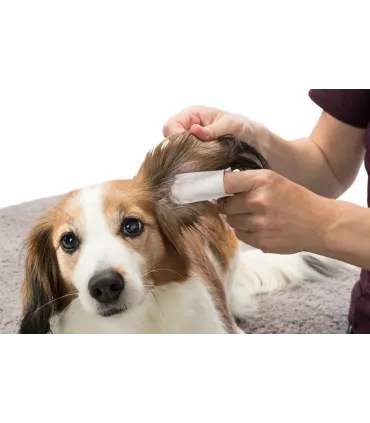 DOIGTIERS DE SOINS POUR LES OREILLES - 50 PCS