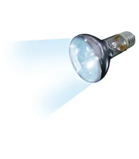 SPOT DAYLIGHT BEAM - 100W