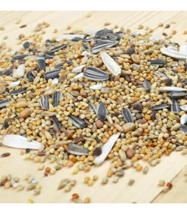 BIRD-X MELANGE GRANDE PERRUCHE - 1KG