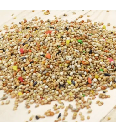 BIRD-X MELANGE EXOTIQUE FRUITS - 1KG