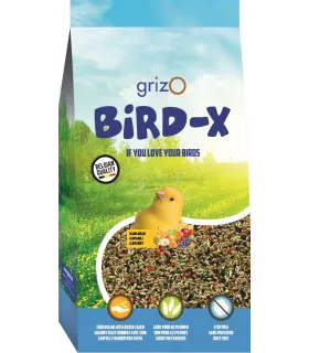 BIRD-X MELANGE CANARI + FRUITS - 1KG