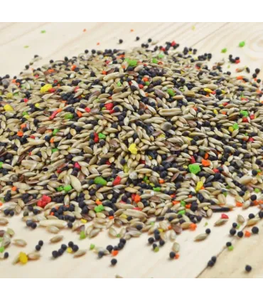 BIRD-X MELANGE CANARI + FRUITS - 1KG