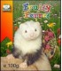 Fruity ferret friandise 100g