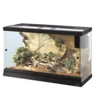 Terrarium & accessoires