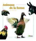 Animaux domestiques