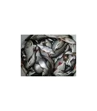 POISSONS